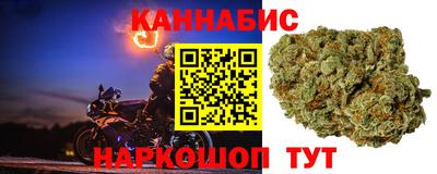 PSILOCYBIN Ярославль