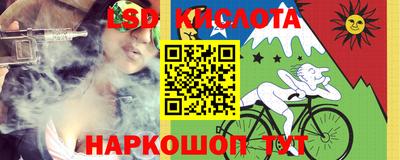 PSILOCYBIN Ярославль