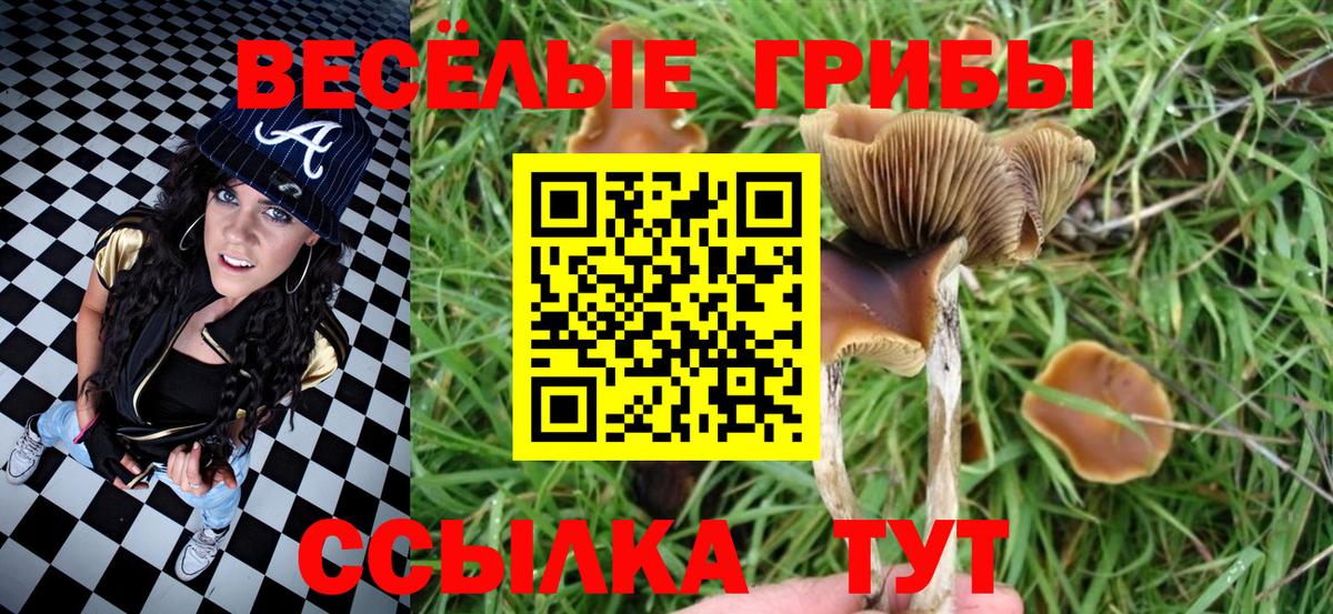 ГАШ  Альфа ПВП СК   Бердск  Вход с VPN  ГАШИШ  Конопля  Кокаин  Меф кристаллы 